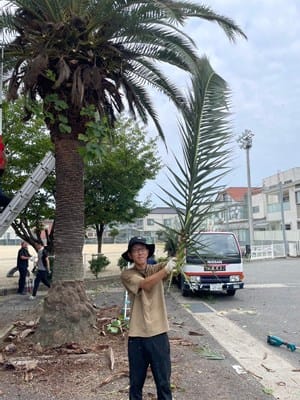 でか！これはもはや凶器です