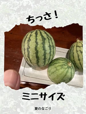 小さすぎるスイカ