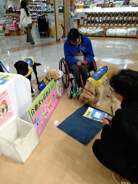 落としたものなど含め、指示したものを持ってきてくれます