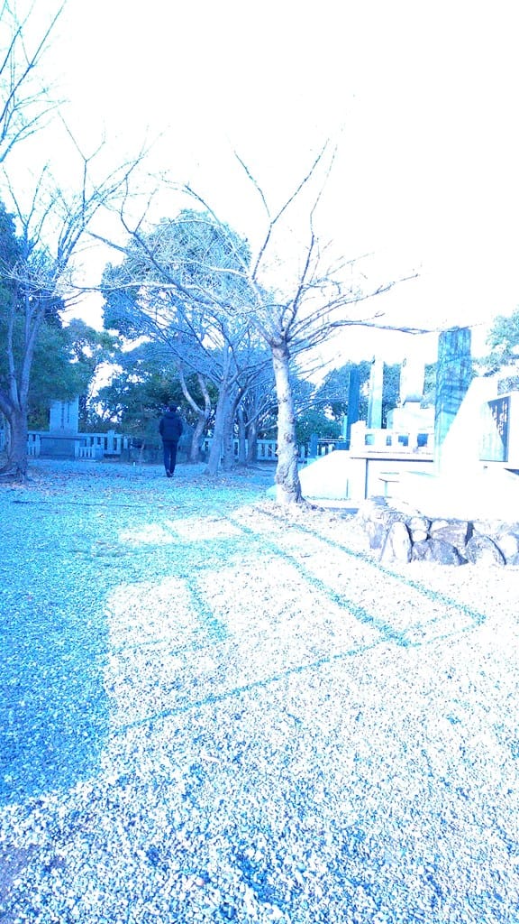徳島縣護國神社241222-1