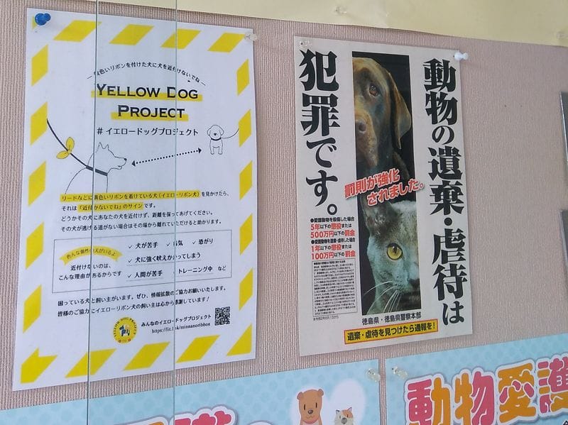 動物の遺棄・虐待は犯罪です
