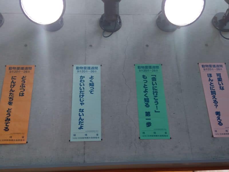 動物愛護週間標語