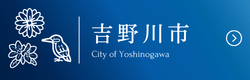 吉野川市