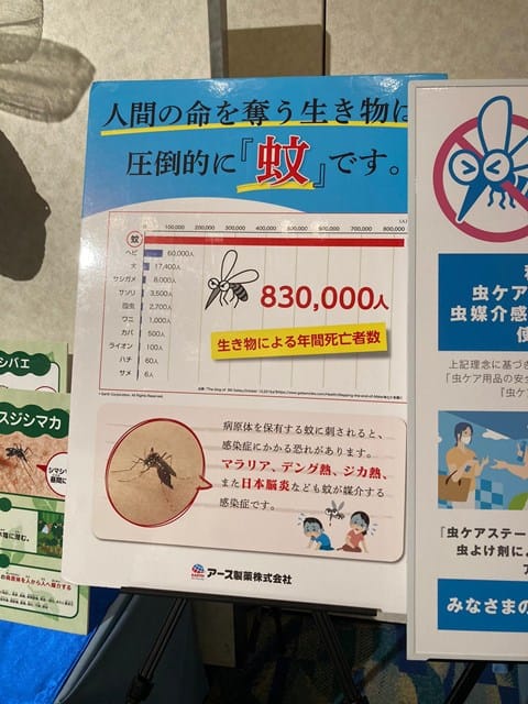 人間の命を奪う生き物は圧倒的に蚊