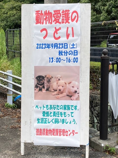入口手前に案内の掲示板