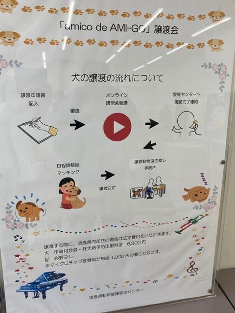 犬の譲渡の流れ
