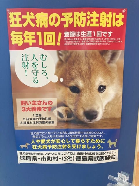 狂犬病の予防注射