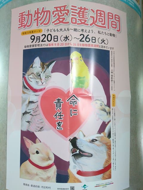 動物愛護週間2023年9月20日~26日